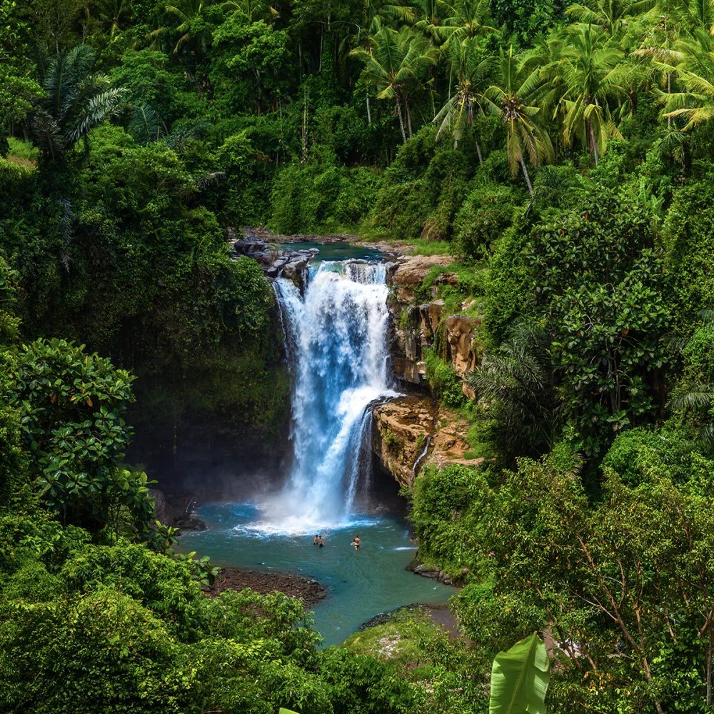 Around Ubud Waterfall Tour – Nature Escapes Near the Heart of Bali