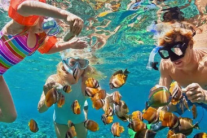 Snorkeling Nusa Penida Trip