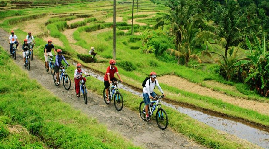 Bali Cycling Tour