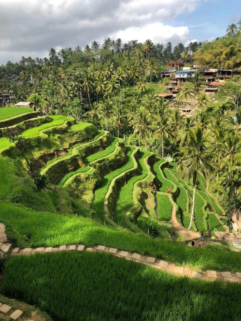 Bali Wonder Tours1